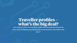 Traveller profiles – what's the big deal?